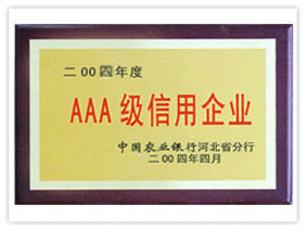 荣誉证书